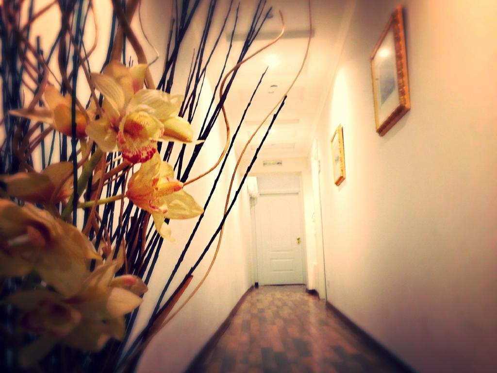 Bed and Breakfast Residenza Domiziano Рим Екстер'єр фото